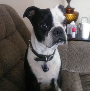 Meet your Posher, Erin